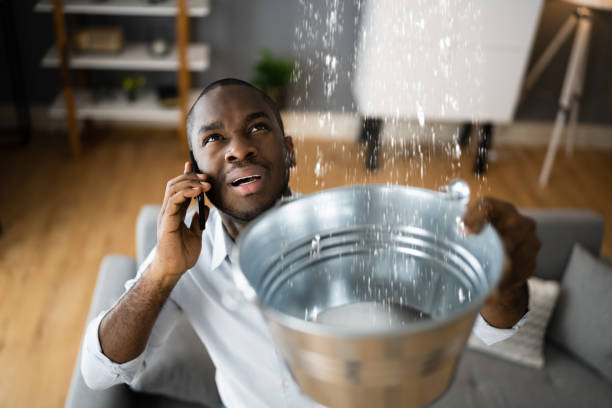 Best 24/7 water damage repair  in Jamestown, NC