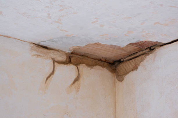 Best Flood restoration services  in Jamestown, NC
