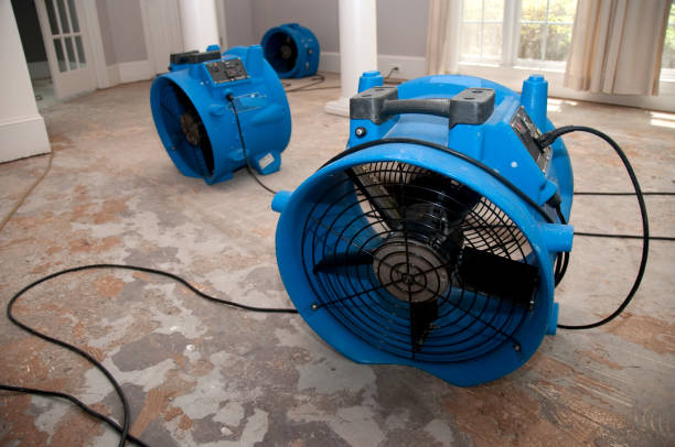 Professional Water damage restoration in Jamestown, NC