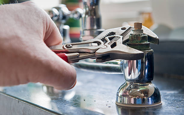 Best Mold removal after water damage  in Jamestown, NC