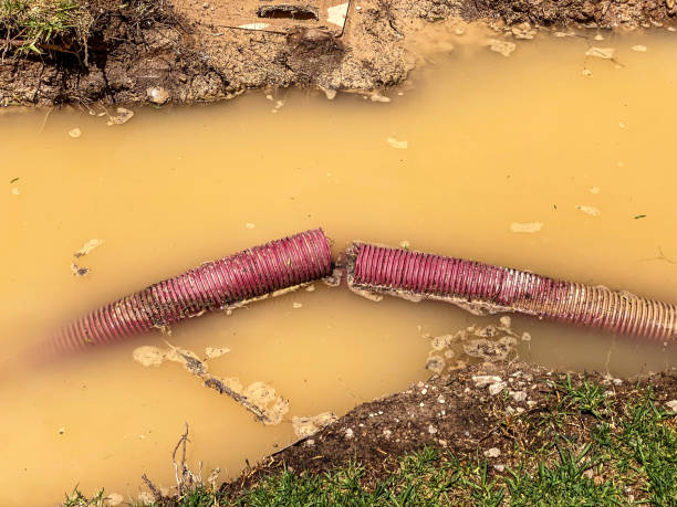 Best Water damage contractors near me  in Jamestown, NC