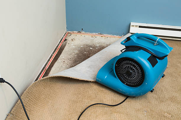 Best Flood damage cleanup  in Jamestown, NC